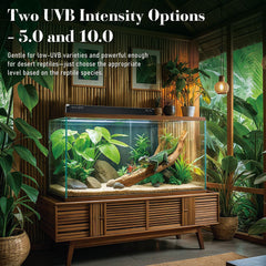 NEPTONION UVB T5 HO tube close-up highlights efficient output for desert reptiles