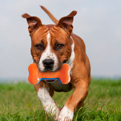 Nerf Dog 7in Squeak Bone blue orange outdoor throw improves visibility and durability.