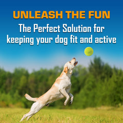 Nerf Dog Classic Squeak Ball near water showing weather resistance.