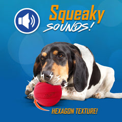 Nerf Dog Classic Squeak Ball in action during fetch with bright colors for visibility.