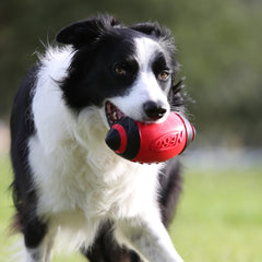 Nerf Dog 7-inch diameter football perfect for medium and large breeds during fetch