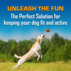 Nerf Dog Spiral Squeak Football with squeaker engages dogs in play.