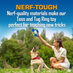 Nerf Dog Trackshot dock-diving training aid enhances water-exercise sessions.