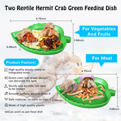 NestBasics green leaf feeding dish for meat portions.