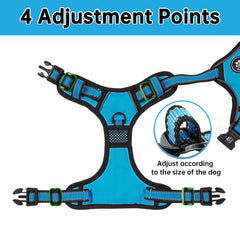 NESTROAD adjustable four-strap harness ensures a secure, customizable fit.