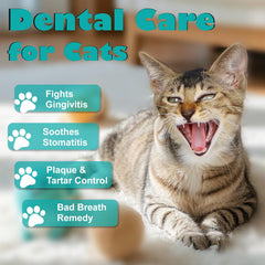 Netrca stomatitis-support tablets package demonstrates gentle all-natural formula for daily use.