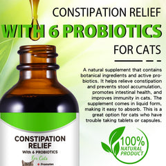 Netwik Cat dropper dosing shows precise easy administration