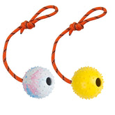 Nevperish dog ball on rope 7cm for rewarding training and exciting fetch sessions.