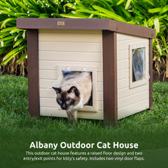 New Age Pet ECOFLEX Albany interior space with ample headroom.