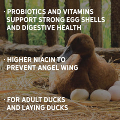 Probiotics and vitamins added to New Country Organics duck feed for digestion