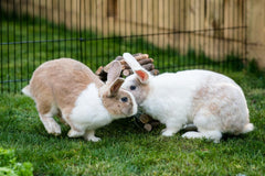 New Country Organics rabbit pellets organic certification label on packaging