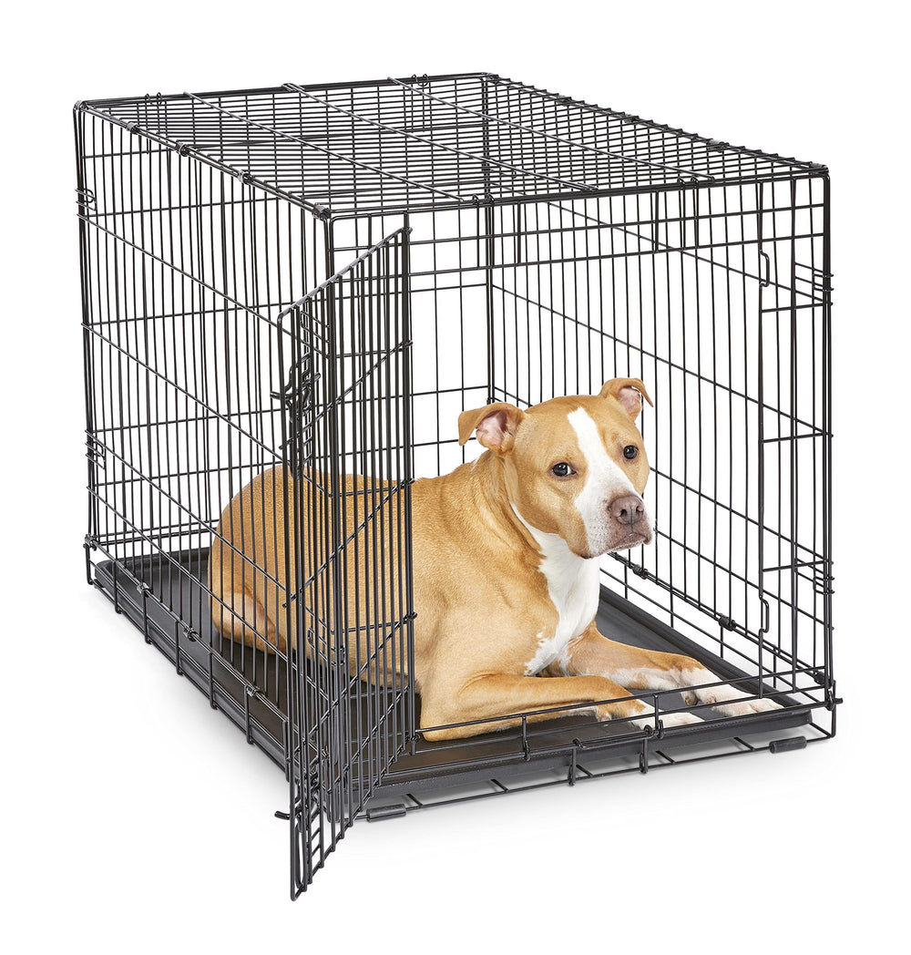 New World 36-inch crate exterior view highlights sturdy frame for home security.