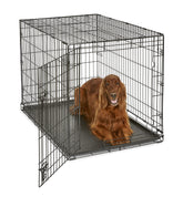 New World large-breed crate setup offers spacious interior for 71-90 lb dogs.