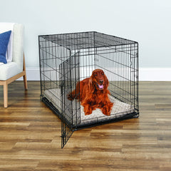 New World crate Paw Block enhances security with a sturdy latch protection.