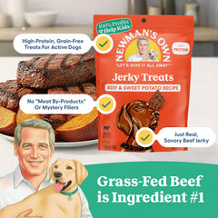 Newman's Own grain-free beef jerky close-up for dogs.