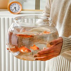 Newpol 3-gallon fish bowl dimensions 11.8 by 11.8 inches compact footprint