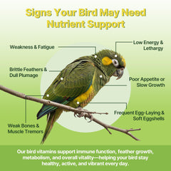Nexalo Rithu Bird Vitamins includes 13 vitamins for balanced nutrition