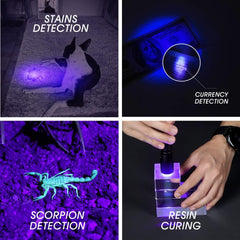 NEXTORCH C2UV detects pet urine stains on carpets and textiles