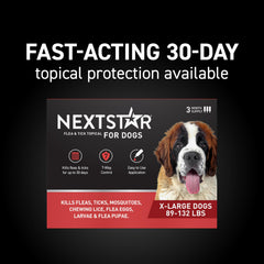 NEXTSTAR waterproof drops on dog fur provide lasting protection.