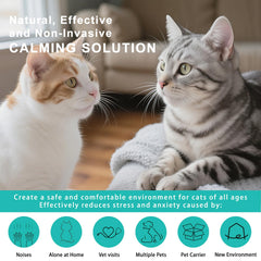 NHMFMLZW cat pheromone diffuser plugged in in a room for continuous diffusion