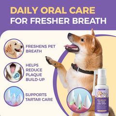 Nichalous Furaqua dental spray application shown for fast, mess-free pet care.