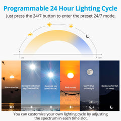 NICREW C10 sunrise-to-moonlight cycle creates natural 24/7 aquarium ambience
