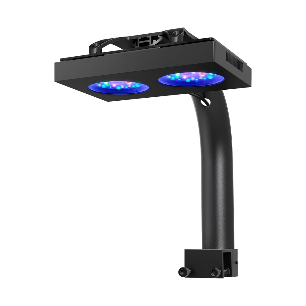 NICREW HyperReef 100 Gen 2 LED front view shows bright, even reef lighting for vibrant corals