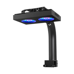NICREW HyperReef 100 Gen 2 LED front view shows bright, even reef lighting for vibrant corals