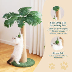 Indoor cat play with hanging ball on Nineshi post for interactive fun
