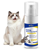Ninibabie catnip-silvervine spray bottle attracts cats during play.