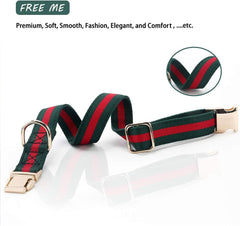 NISIYE premium dog collar with metal buckle highlighting durable safety and easy attachment.