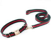 NISIYE premium dog collar close-up showing soft texture for comfortable daily wear.