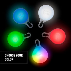 Nite Ize SpotLit Splash USB-C recharge keeps your dog's light ready