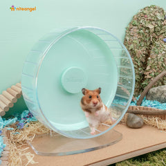 Niteangel acrylic base offering stable support for the hamster wheel.
