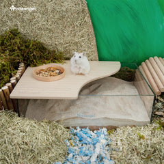 Niteangel Animal Sand-Bath Box acrylic material ensures easy cleaning