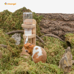 Niteangel base supports bottle placement in glass tanks and terrariums.