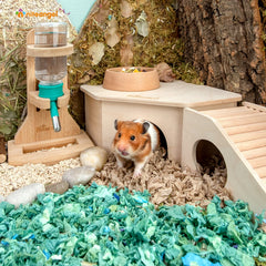 Niteangel Birch Chamber-Maze Hamster Hideout includes cartoon-style shelter for visual appeal.