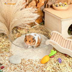 Niteangel hamster desert bath sand in use during dig and play sessions.