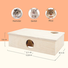 Niteangel hamster maze with dual entrances viewed inside for easy access.