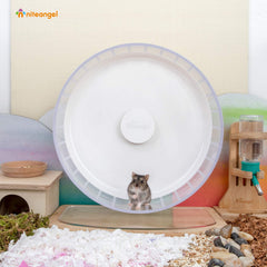 Niteangel wheel uses dual-ball bearings for smooth, quiet rotation.