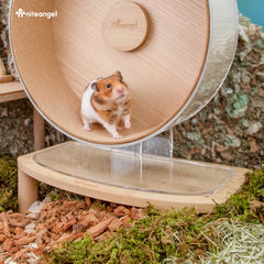 Niteangel medium-height platform raises wheel for clean bedding access
