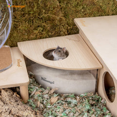 Niteangel sand-bath box acrylic clear view helps watch hamsters explore