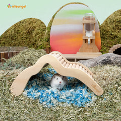 Niteangel wave-style ramp supports gentle buffering while your pet climbs and explores.
