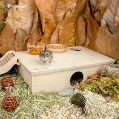 Niteangel wooden hamster house rooms close-up shows smooth birch plywood finish.