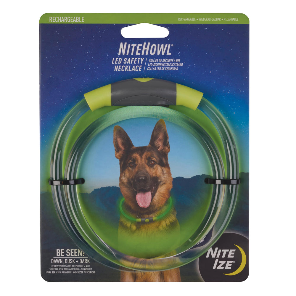 NiteHowl necklace worn on a dog for nighttime visibility