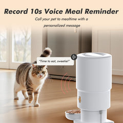 Nityers Automatic Feeder food hopper demonstrates easy refills.