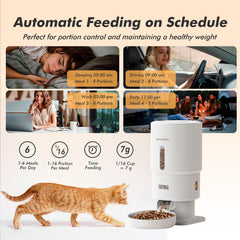 Nityers stainless steel bowl provides safer, whisker-friendly mealtimes.