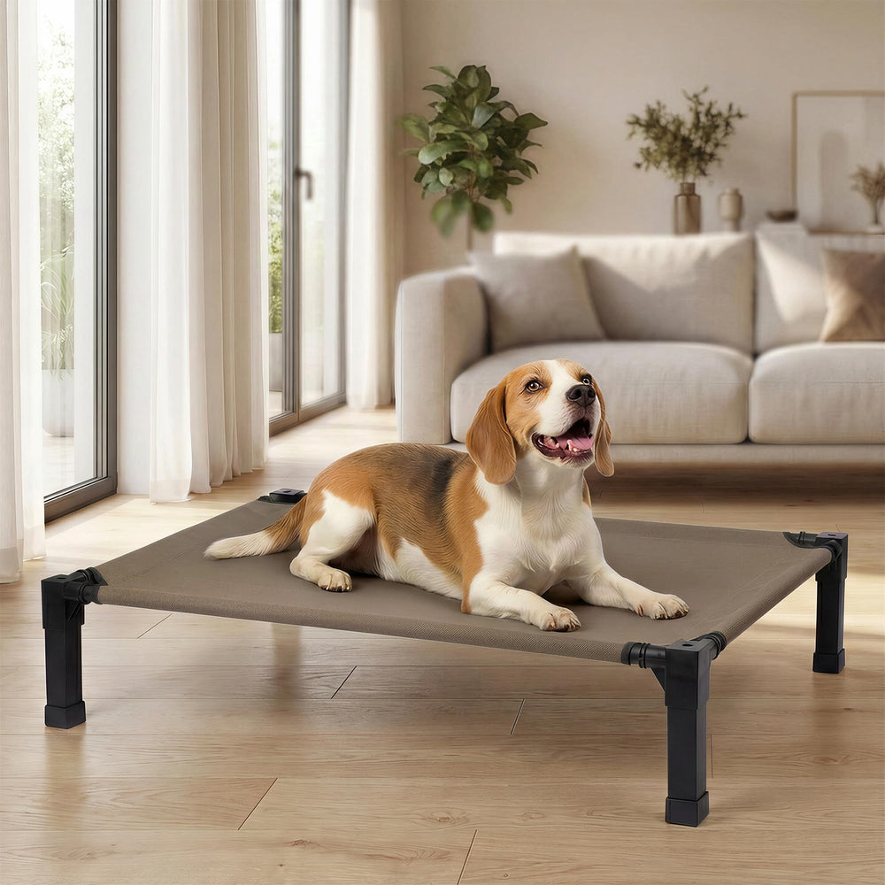 Niubya elevated outdoor dog bed setup with tool-free assembly for travel.