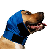 No Flap ear wrap blue pinpoint mesh, front view, breathable ear protection for post-surgery ears.