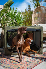 Noah & Paw 10mm locking zippers secure your pet inside the crate.